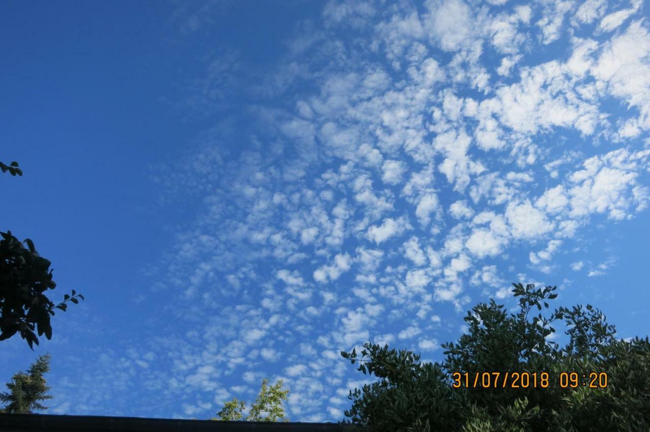 Wildgarten *